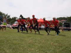 IMG 8708