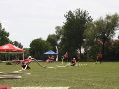 IMG 8714
