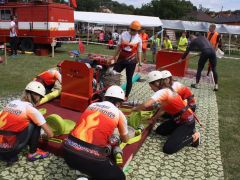 IMG 8758