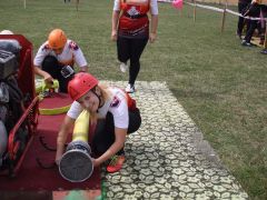 IMG 8761
