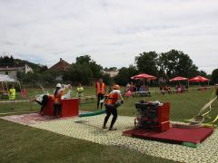 IMG 8776