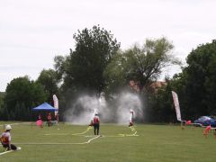 IMG 8781