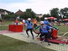 IMG 8993