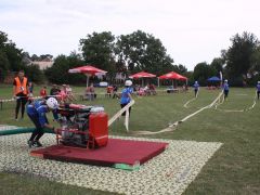 IMG 8995
