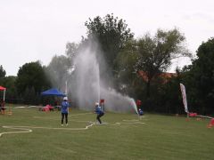 IMG 8999