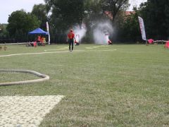 IMG 9537