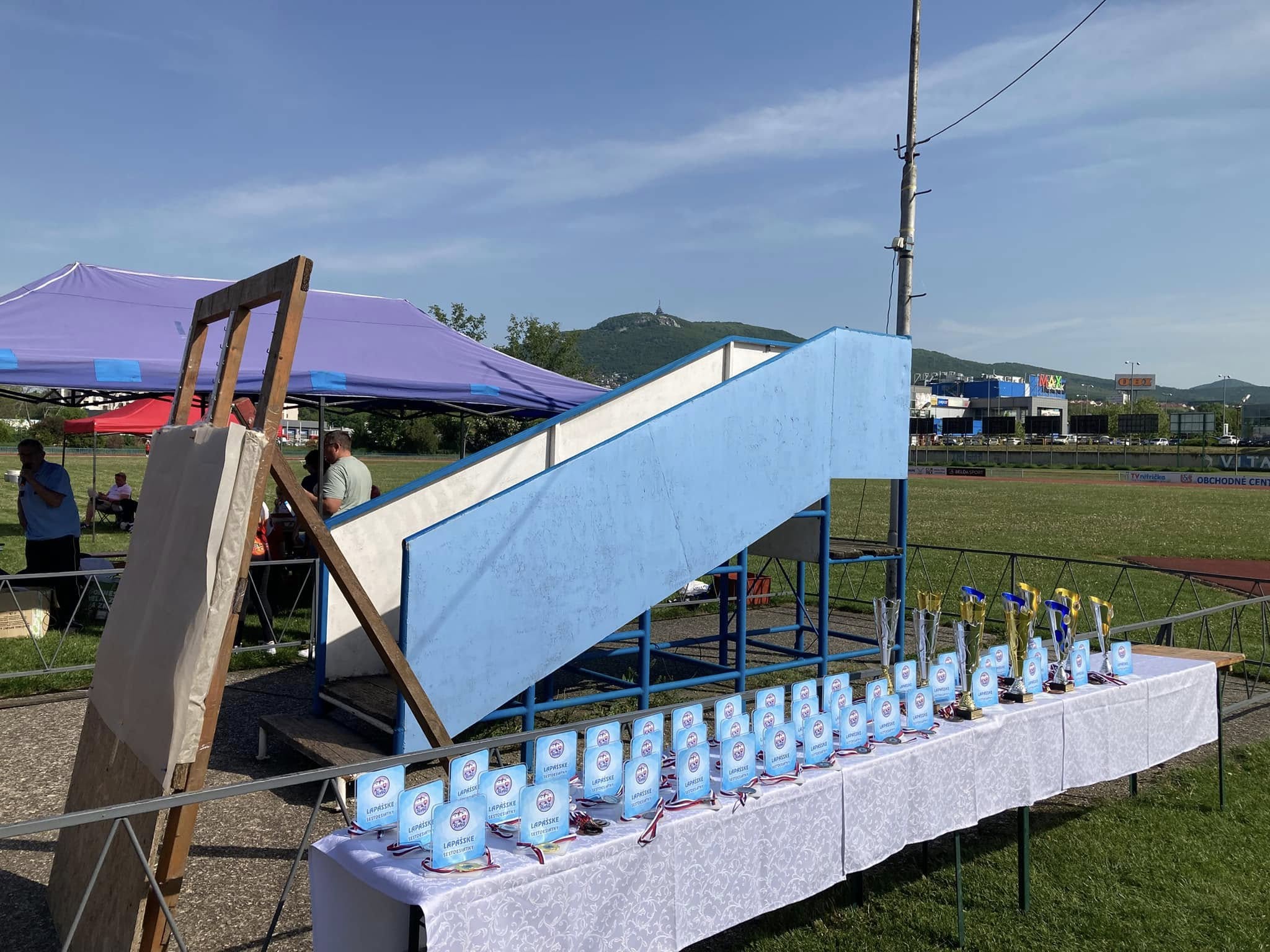 Ceny 60 m s prekážkami